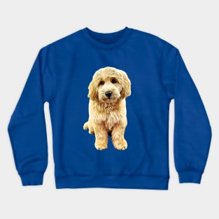 Goldendoodle Cute Puppy Eyes! Crewneck Sweatshirt